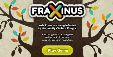 fraxinus